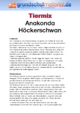 Anakonda - Höckerschwan.pdf